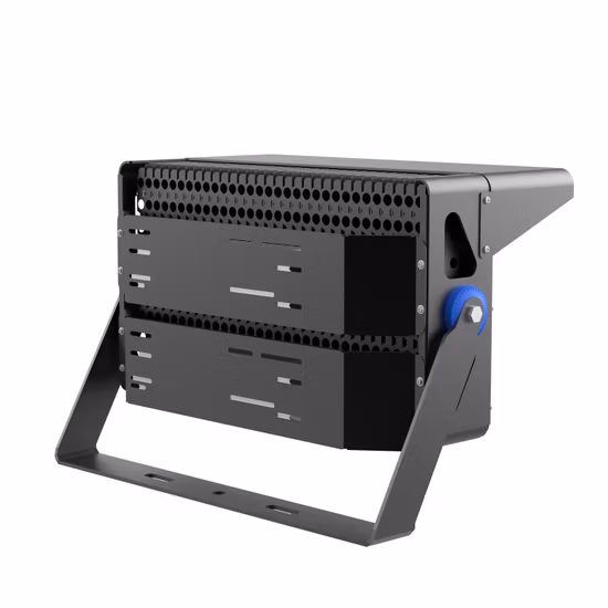 Pfingstrosenbeleuchtung 500W